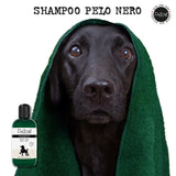 Shampoo - Black Hair