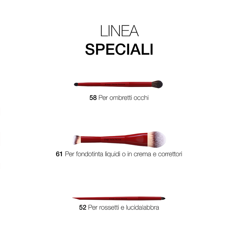 Essential pro makeup brushes - set 10 pennelli professionali viso e occhi