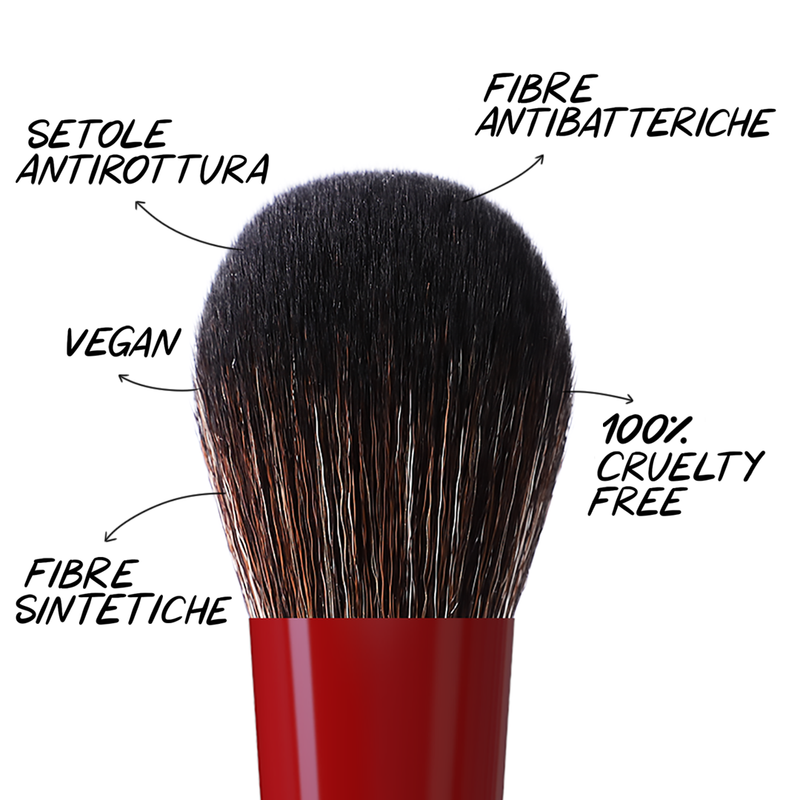 Essential pro makeup brushes - 10 professional face and eye brushes set