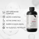 HAIR ROUTINE CHERAPLEX