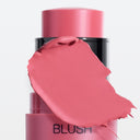 ALL IN ONE - BLUSH, a versatile pink blush stick ideal for multiple uses, features a smear of coordinating blush across part of the product and “BLUSH” printed on the container, set against a clean white background.